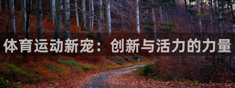 凯发官网下载平台注册流程视频:体育运动新宠:创新与活力的力量