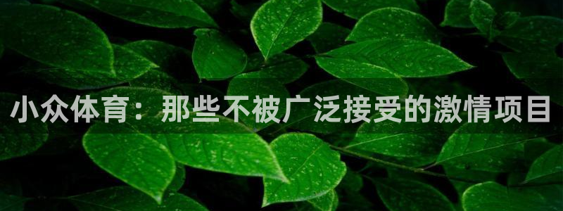 凯发官方正版app官网:小众体育:那些不被广泛接受的激情项目